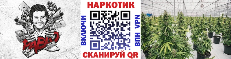 Виды наркоты Гороховец ГАШИШ  Меф мяу мяу 