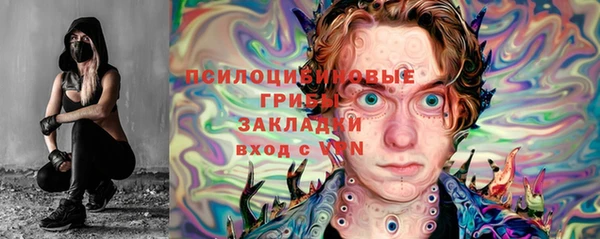 ГАЛЛЮЦИНОГЕННЫЕ ГРИБЫ Баксан