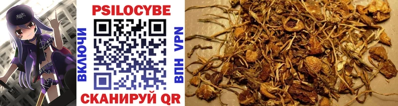Псилоцибиновые грибы Cubensis  где купить наркоту  Гороховец 