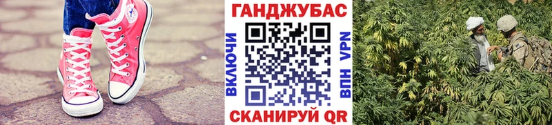купить наркотики цена  Гороховец  Конопля индика 